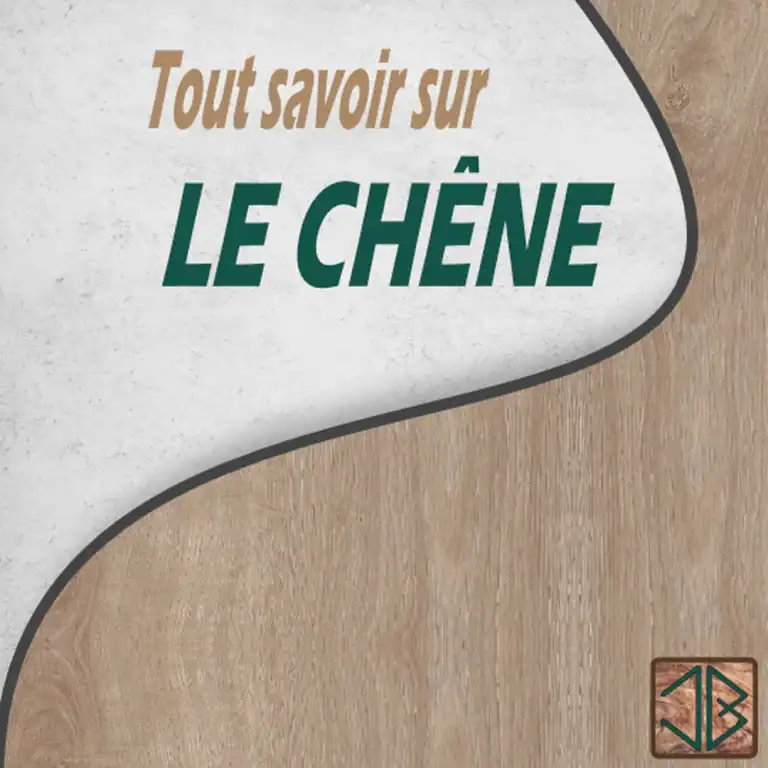 Le chêne : la valeur sûre