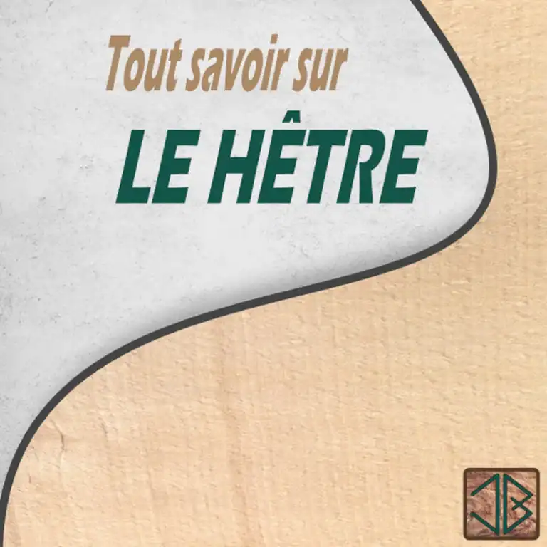 Le hêtre : dureté et polyvalence