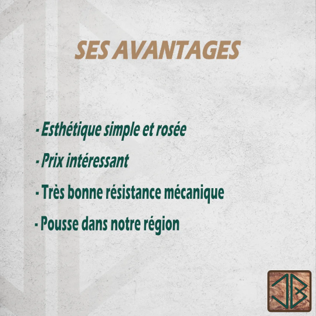 Le hetre 2