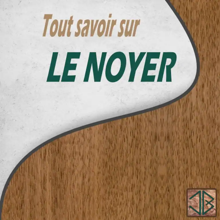 Le noyer : caractère et élégance