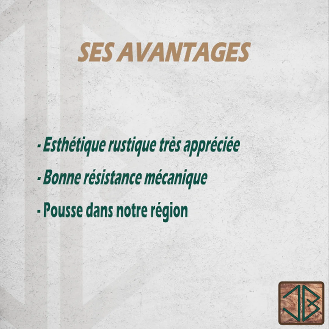 Le noyer 2